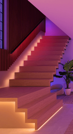 A legfényesebb kedvezmények