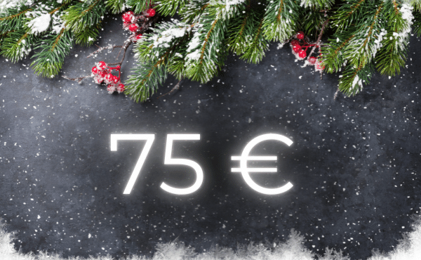 Geschenktipps bis zu 75 €