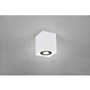Trio 613000134 Biscuit 1x35W | GU10 | IP20 - variable Lichtrichtungseinstellung, weiß, schwarz