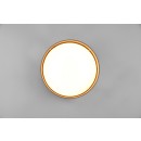 Trio R64191141 LED-Deckenleuchte Locarno 1x12W | 1160lm | 3000K | IP20 - taupe, weiß