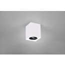 Trio 613000134 Biscuit 1x35W | GU10 | IP20 - variable Lichtrichtungseinstellung, weiß, schwarz