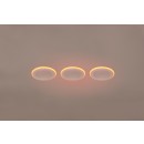 Trio 653610331 LED-Spotleuchte Argus 3x4W + 3x1W | 350lm | 3000K+RGBW | IP20 - integrierter Dimmer, Memory-Funktion, Fernbedienung, separat dimmbar, mattweiß