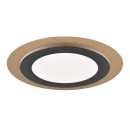 Trio 641519280 LED-Deckenleuchte Morgan 1x42W | 5600lm | 2700-6000K | IP20 - einstellbare Lichtfarbe in Stufen + stufenlos einstellbare Lichtfarbe, integrierter Dimmer, Memory-Funktion, Nachtmodus, Fernbedienung, Timer, schwarz/gold