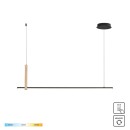 Zuma Line 003064-026643 LED Pendelleuchte CLAUD integrierte LED-Quelle