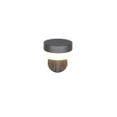 Trio T230569142 LED Außenwandleuchte MACKENZIE  | 8W integrierte LED-Quelle | 800lm | 3000K