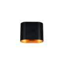 Trio T266100180 Außenwandleuchte ALANI  | 5W G9 | schwarz | gold | gold