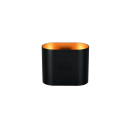 Trio T266100180 Außenwandleuchte ALANI  | 5W G9 | schwarz | gold | gold