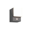 Trio 270669142 LED-Außenwandleuchte mit Bewegungsmelder Avon 1x6W | 600lm | 3000K | IP54 - verstellbare Orientierungsleuchte, anthrazit