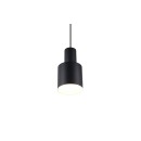 Trio T319400132 Pendelleuchte AGUDO  E27