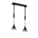 Trio 319500232 Pendelleuchte Stanley | 2x40W E27