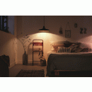 Philips 36032/30/E7 Pendelleuchte 1x40W Durham | E27
