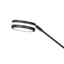 Trio 426510242 LED Stehleuchte Franklin 1x35W+6,5W | 4100lm+650lm | 2700+3200+4000K - Memoryfunktion, separate Schalter, einstellbare Lichttemperatur, dimmbar, anthrazit