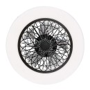 Rabalux 5419 LED-Deckenleuchte mit Ventilator Adonias 1x35W | 1600lm | 3000-6000K - Fernbedienung, einstellbare Lichttemperatur, Timer, dimmbar, schwarz