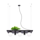 Zuma Line 003749-025970 Pendelleuchte SHELF E14