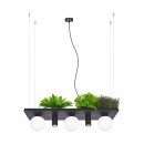 Zuma Line 003749-025970 Pendelleuchte SHELF E14