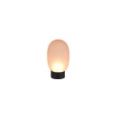 Trio T564210113 LED Tischlampe FACETTE | 1,5W integrierte LED-Quelle