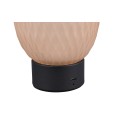 Trio T564210113 LED Tischlampe FACETTE | 1,5W integrierte LED-Quelle