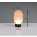 Trio T564210113 LED Tischlampe FACETTE | 1,5W integrierte LED-Quelle