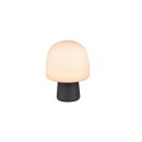 Trio T568200132 Tischlampe STEEN  E14