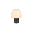 Trio T568200132 Tischlampe STEEN  E14
