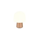 Trio T568200165 Tischlampe STEEN  E14