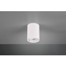 TRIO 612900131 Decken- und Spotleuchte Cookie 1x35W|GU10