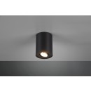 TRIO 612900132 Decken- und Spotleuchte Cookie 1x35W|GU10