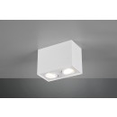 TRIO 613000231 Decken- und Spotleuchte Biscuit 2x35W|GU10
