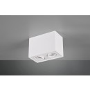 TRIO 613000231 Decken- und Spotleuchte Biscuit 2x35W|GU10