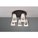 Trio SELECT  T617500554 Deckenleuchte BARRET   E14