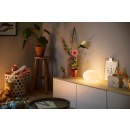 Philips Hue 8719514343481 Tischleuchte Flourish 1x95w | E27 | 570-800lm | 2000-6500K - White and color Ambiance, dimmbar, Bluetooth, weiß
