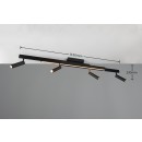 Trio T648310532 LED Deckenleuchte ZENO  | 12+4x5,5W integrierte LED-Quelle | 4x650lm | 2700-6500K