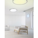 TRIO 657494007 LED Deckenleuchte Griffin 1x20W|3000-5000K|RGB