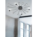 TRIO 679511532 LED Kronleuchter Peacock 1x2,6W | 270L | 4000K | IP20 schwarz