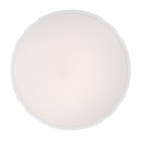 Rabalux 98071430 LED Außen-Deckenleuchte Alenzo  | 36W integrierte LED-Quelle | 2450lm | 3000-6000K