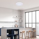 Rabalux 98071430 LED Außen-Deckenleuchte Alenzo  | 36W integrierte LED-Quelle | 2450lm | 3000-6000K