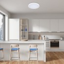 Rabalux 98071431 LED Außen-Deckenleuchte Alenzo  | 36W integrierte LED-Quelle | 2450lm | 3000-6000K