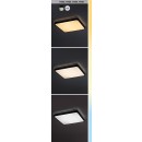 Rabalux 98071433 LED Außen-Deckenleuchte Alenzo  | 36W integrierte LED-Quelle | 2270lm | 3000+4000+6500K