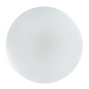 Rabalux 71442 LED Deckenleuchte Danny2 | 34W integrierte LED-Quelle | 2800lm | 3000-6500K | Fernbedienung | Dimmer | weiß