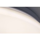 Rabalux 71502 LED Deckenleuchte Lucas2 | 18W integrierte LED-Quelle | 1450lm | 4000K | weiß