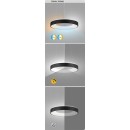 Rabalux 98072002 LED Pendelleuchte Ceilo  | 38W integrierte LED-Quelle | 3150lm | 3000-6500K