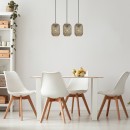 Rabalux 98072093 Pendelleuchte Adalla E27