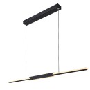 Rabalux 98072231 LED Pendelleuchte Sindri  | 36W integrierte LED-Quelle | 2050lm | 3000+4000K