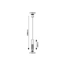 Rabalux 98072250 Pendelleuchte Nasis  GU10