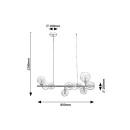 Rabalux 98072298 Pendelleuchte Aslov  G9