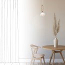 Rabalux 98072303 Pendelleuchte Rosehip  G9