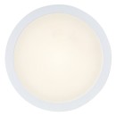 Rabalux 75072 LED Außen-Deckenleuchte ShaunPlus | 24W integrierte LED-Quelle | 2600lm | 4000K | weiß