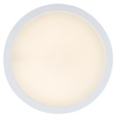 Rabalux 75073 LED Außen-Deckenleuchte ShaunPlus | 30W integrierte LED-Quelle | 3000lm | 4000K | weiß