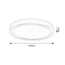 Rabalux 75079 LED Außen-Deckenleuchte ShaunPlus | 30W integrierte LED-Quelle | 3000lm | 4000K | gold