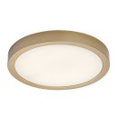Rabalux 75079 LED Außen-Deckenleuchte ShaunPlus | 30W integrierte LED-Quelle | 3000lm | 4000K | gold